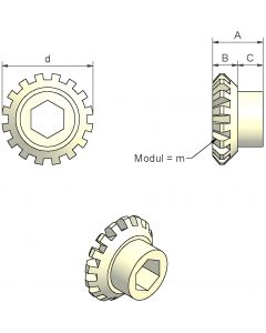 Zahnrad, PVDF 25 SW15